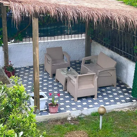 Mabel Guest house