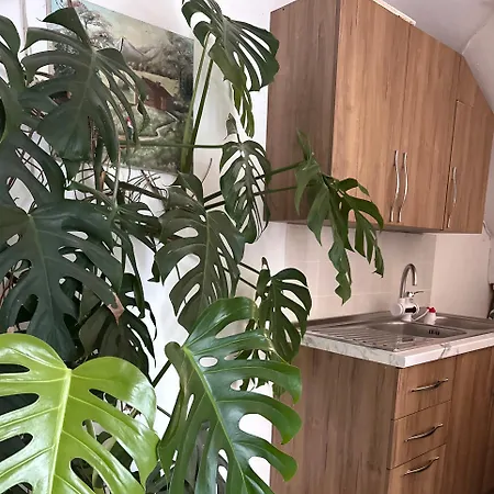 Mabel Guest house Durres