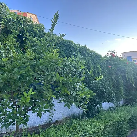 Guest house Mabel Durres